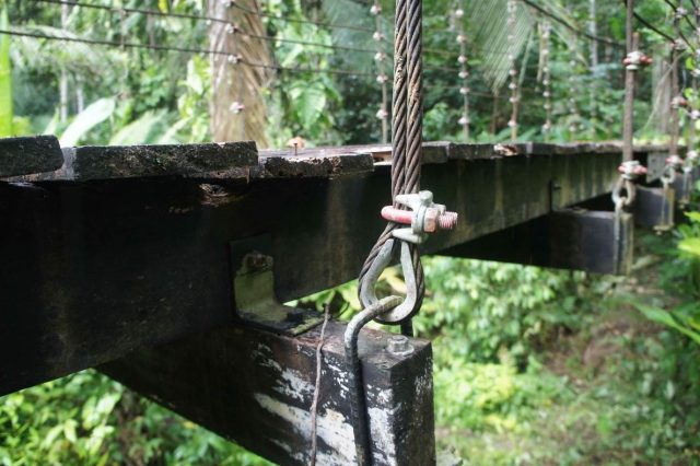 WhatsApp Image 2025-08-29 at 11.44.03 AM