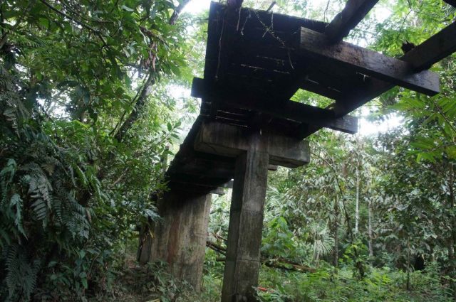 WhatsApp Image 2025-08-29 at 11.44.55 AM