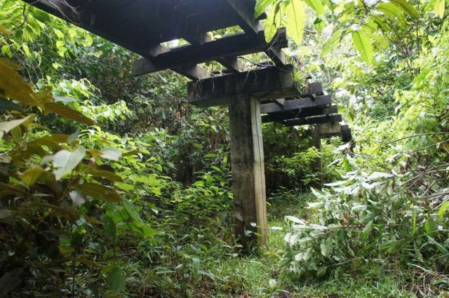 WhatsApp Image 2025-08-29 at 11.45.33 AM