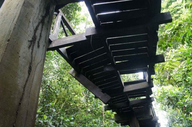 WhatsApp Image 2025-08-29 at 11.46.34 AM