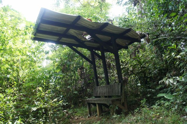 WhatsApp Image 2025-08-29 at 11.48.17 AM